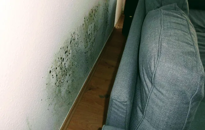 Schimmel an einer Wand neben einem Sofa